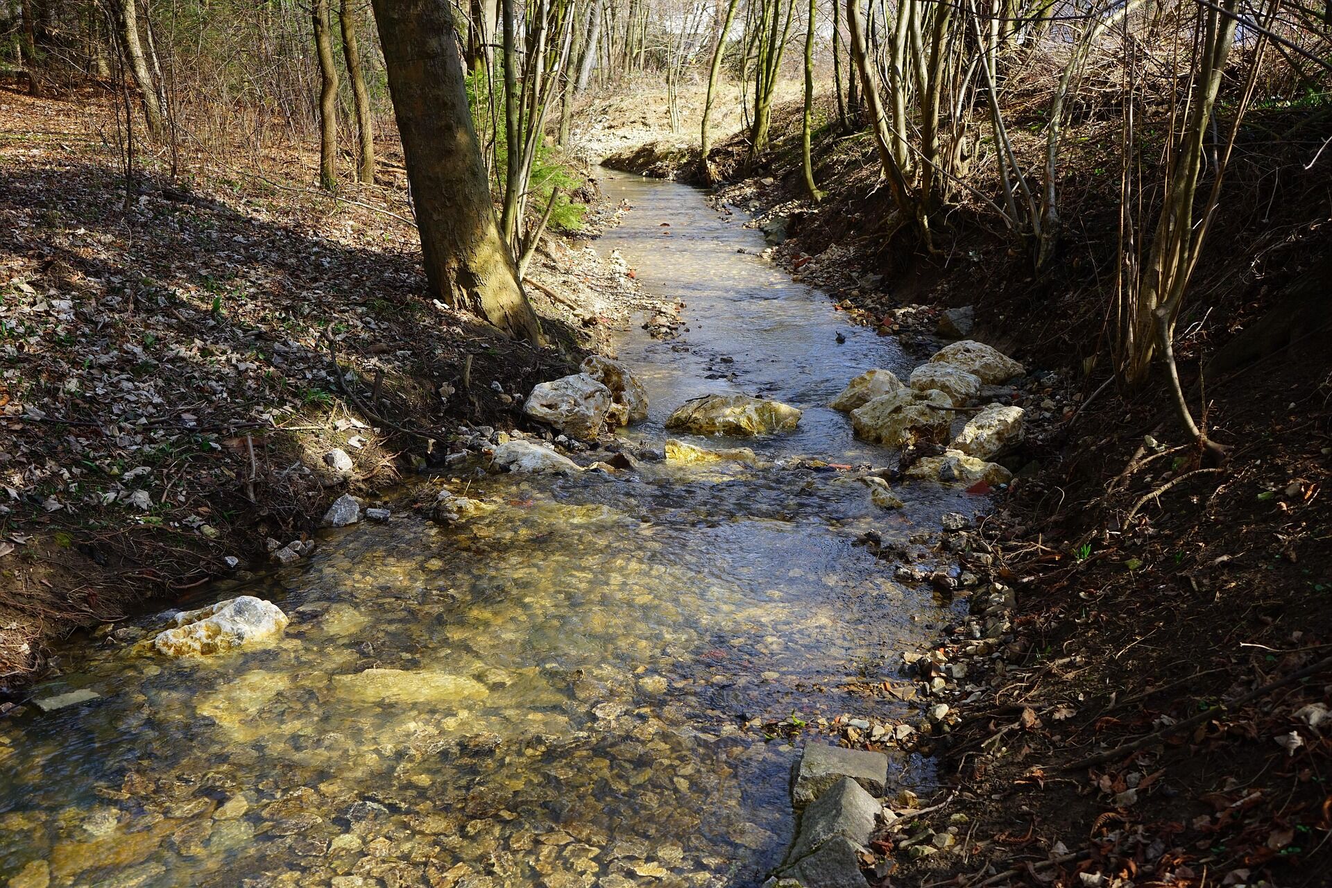 A forest stream running over stone